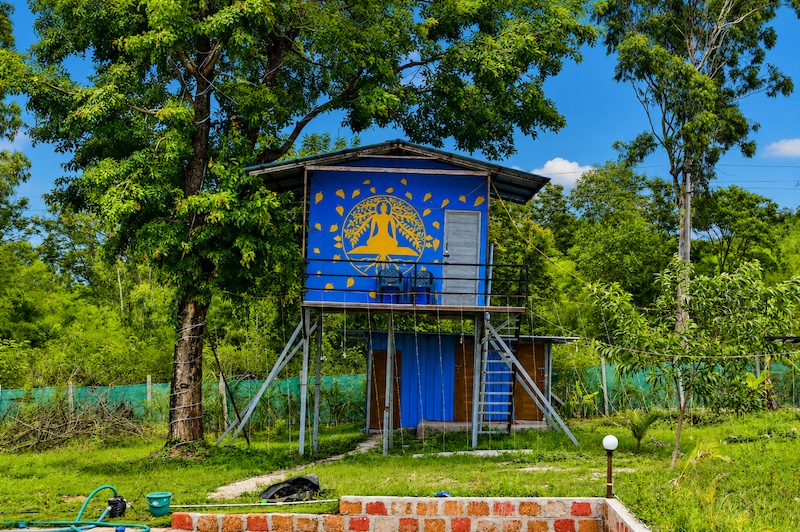 Coffee estate plantation details